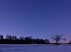 雪夜安卓版小熊移植安卓游戏全部下载